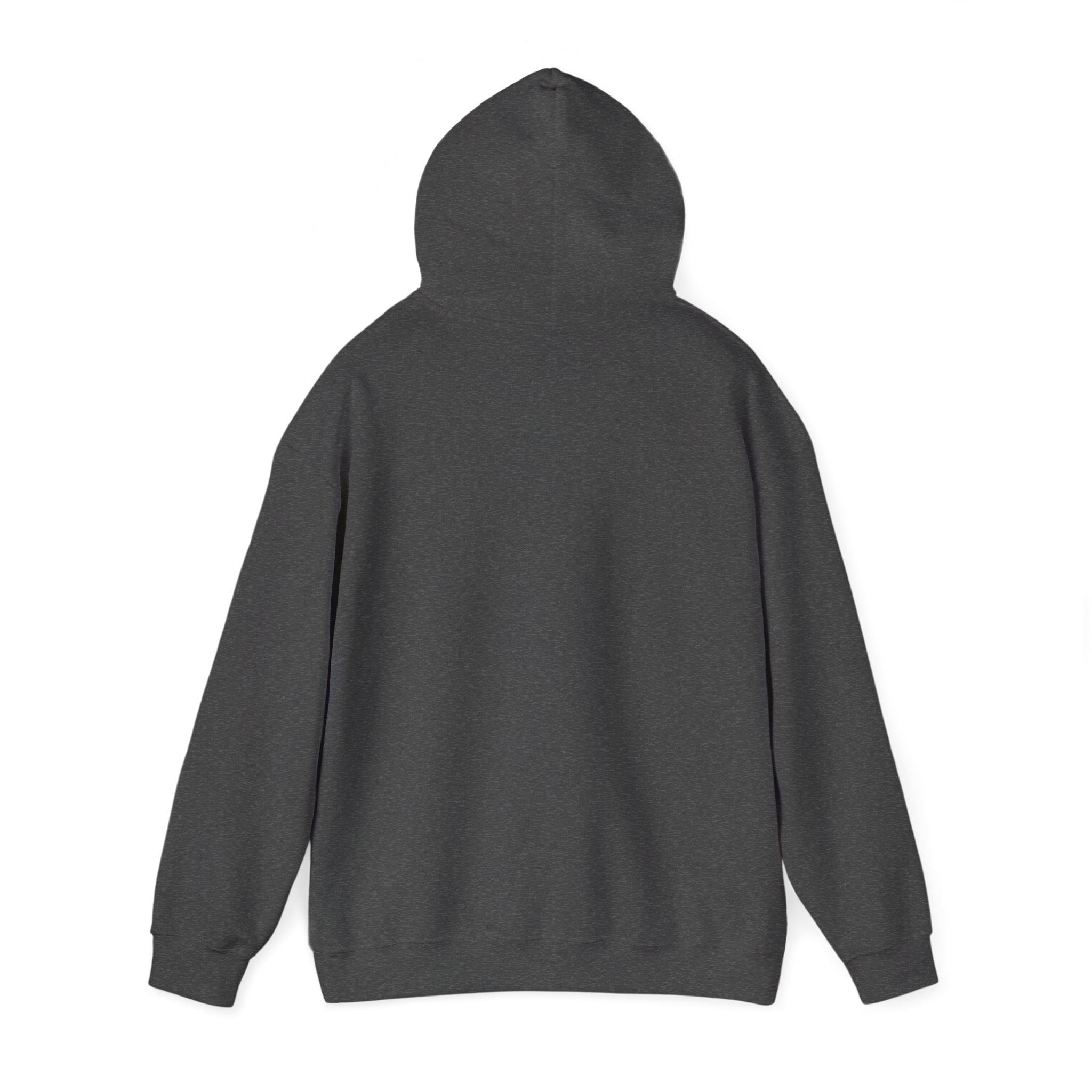 America's Thinking Cap Hoodie