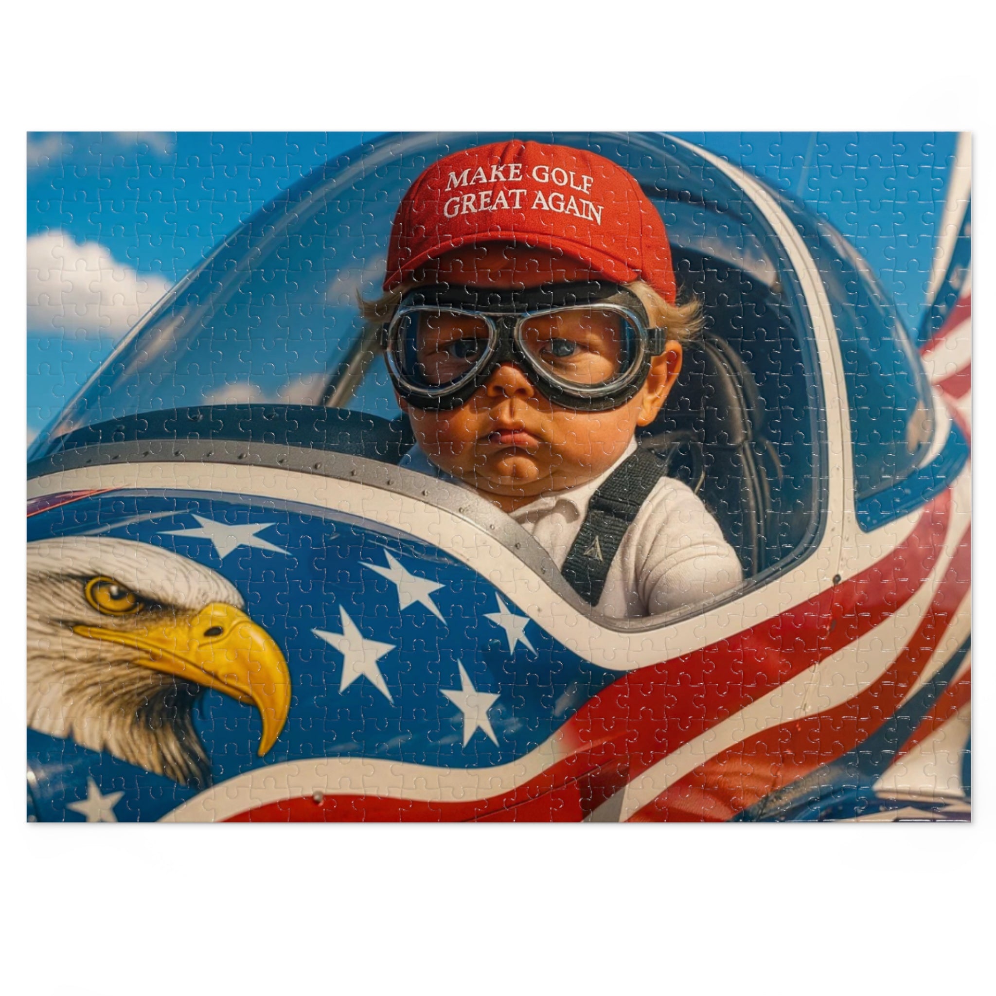 Baby Pilot Puzzle
