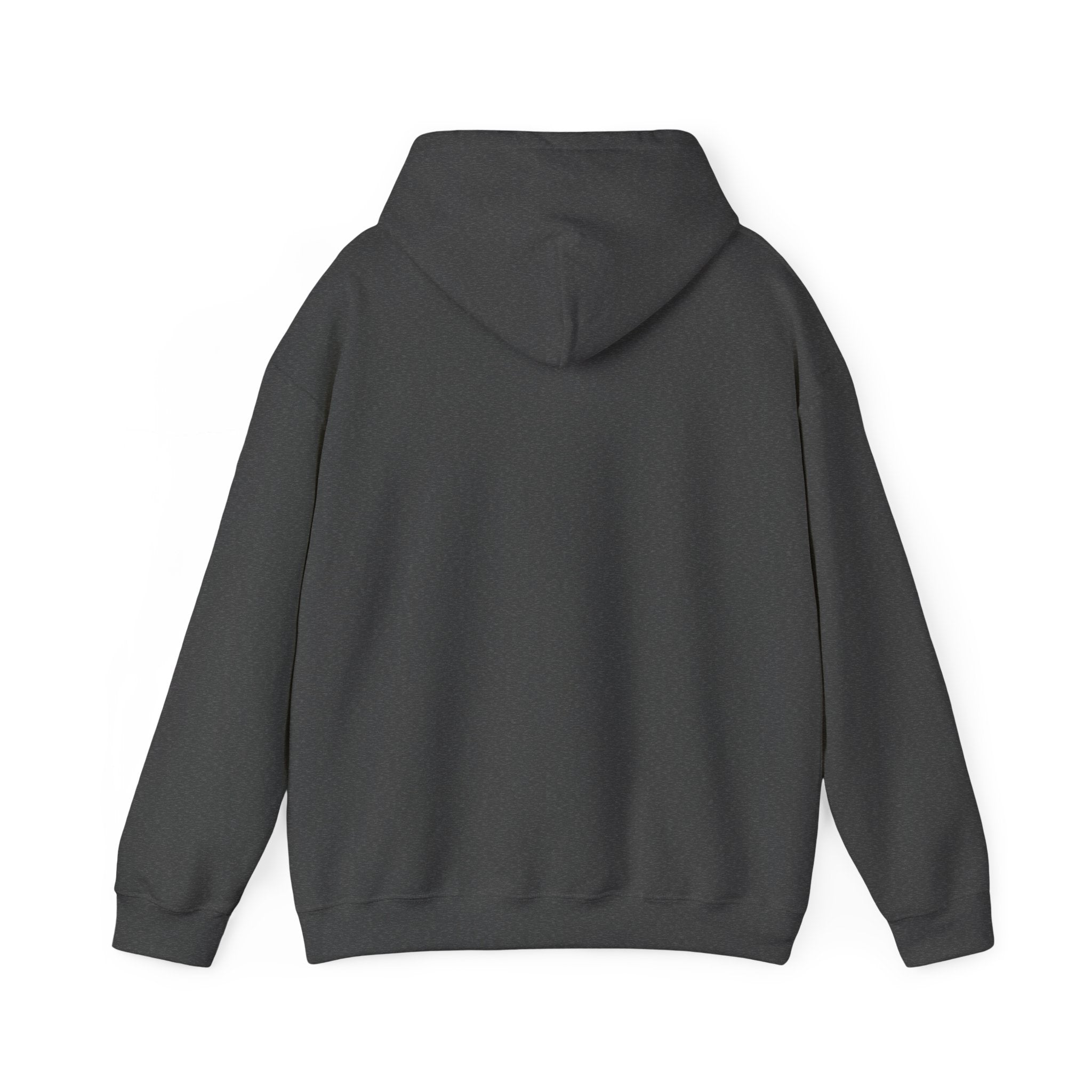 America's Thinking Cap Hoodie
