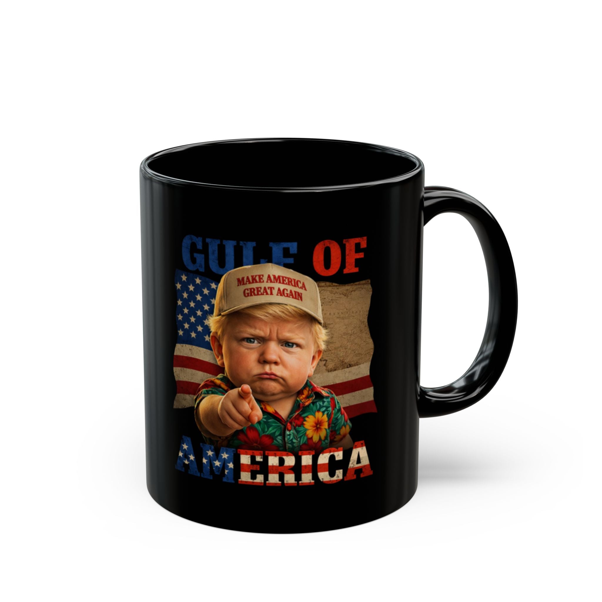 Gulf Of America Mug